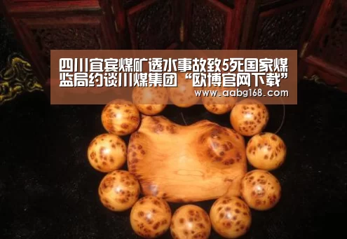 四川宜宾煤矿透水事故致5死国家煤监局约谈川煤集团“欧博官网下载”(图3) 欧博登录app