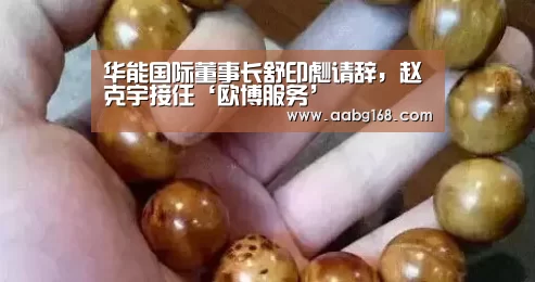 华能国际董事长舒印彪请辞，赵克宇接任‘欧博服务’
